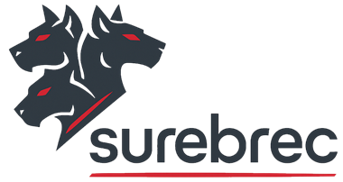 A black and red logo

AI-generated content may be incorrect.